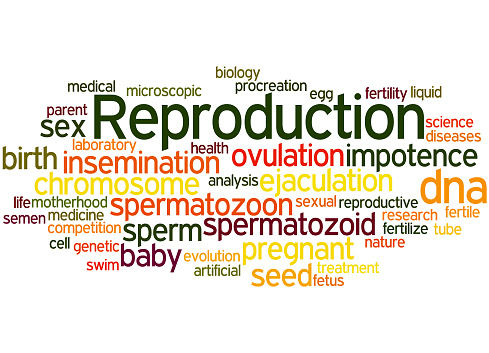 Reproduction, word cloud concept on white background.